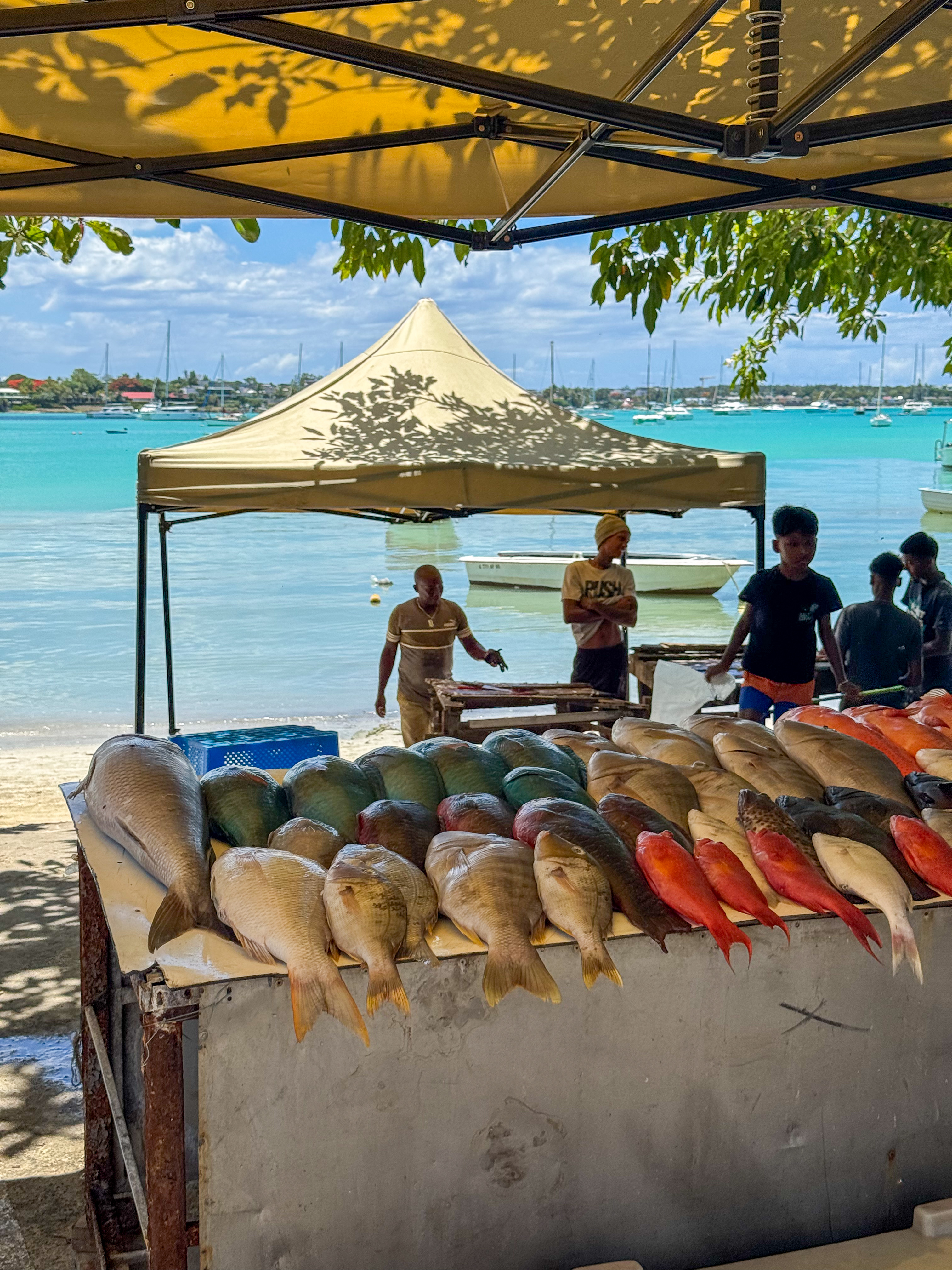 Voyage organisé par The Lagoon Travel