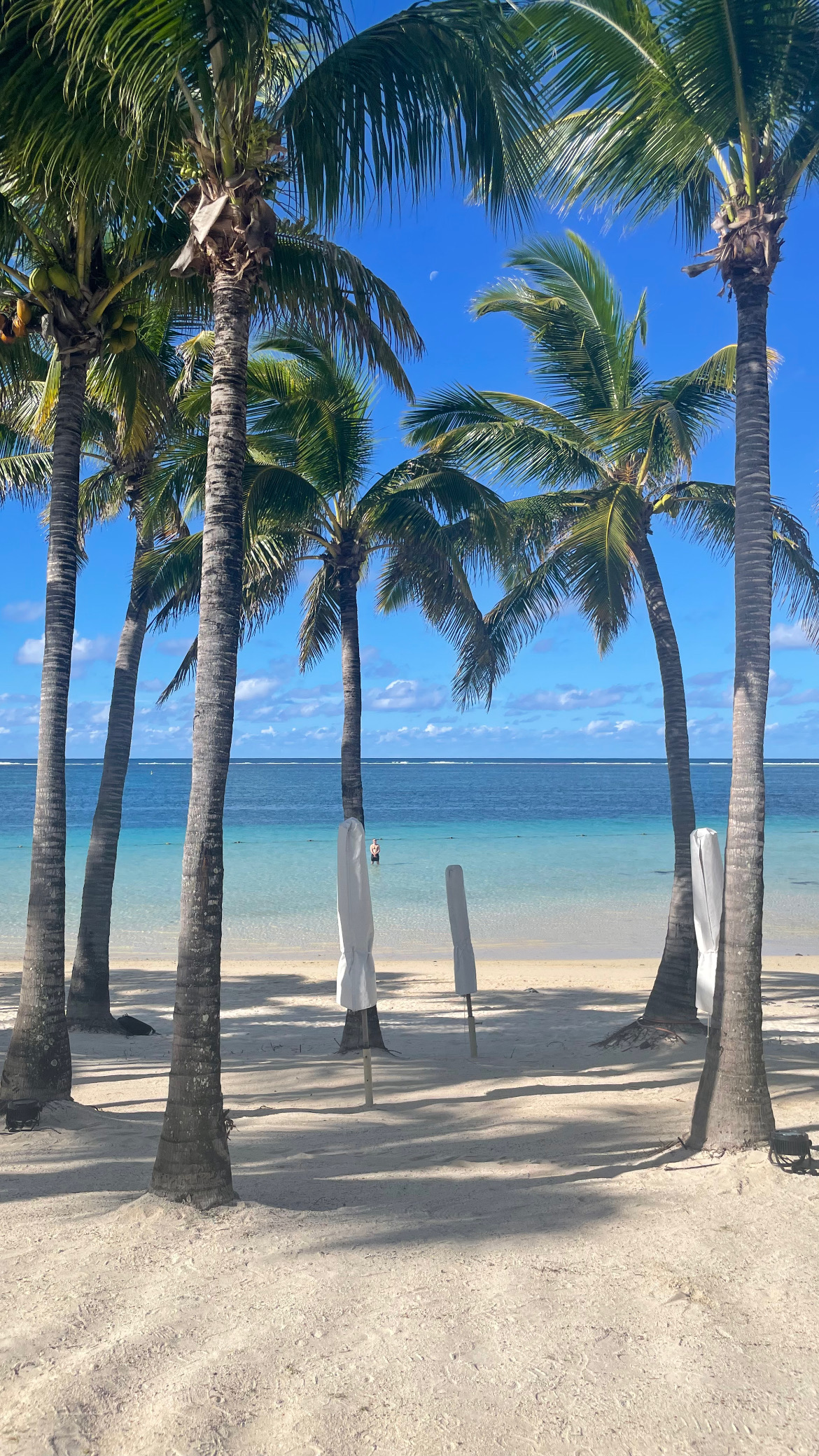 L'île Maurice, terre d'origine