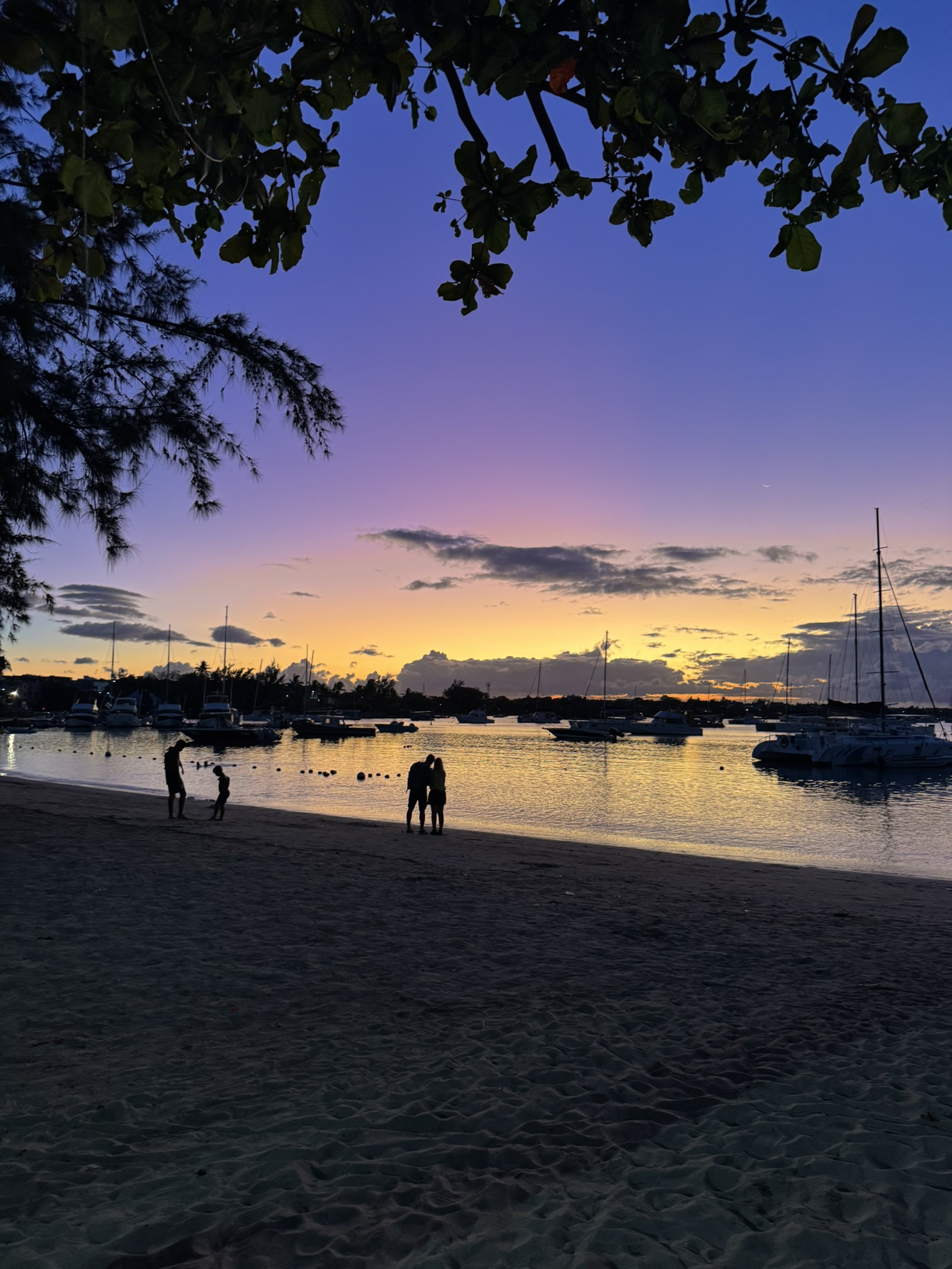Votre expert dédié à l'île Maurice